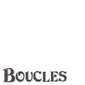 BOUCLES ROTATIVES